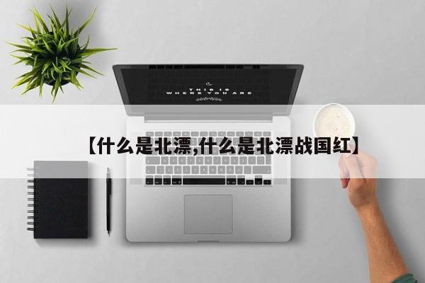 【什么是北漂,什么是北漂战国红】