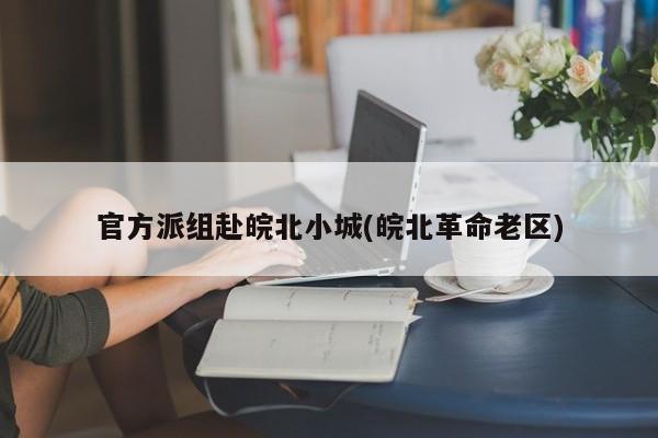官方派组赴皖北小城(皖北革命老区)