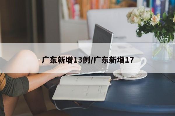 广东新增13例/广东新增17