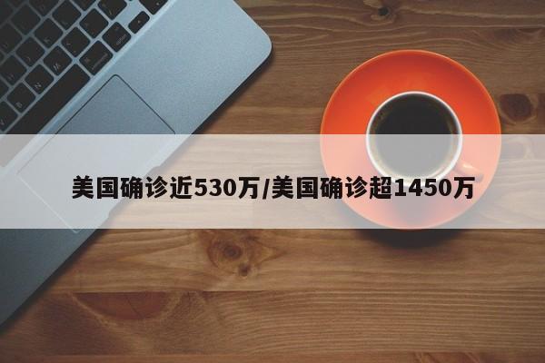 美国确诊近530万/美国确诊超1450万